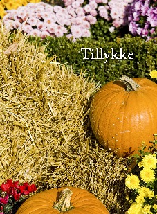 tillykke
