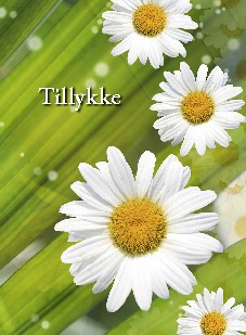 tillykke