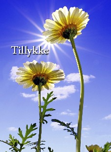 tillykke