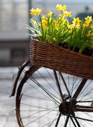 blomster