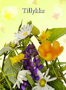 tillykke