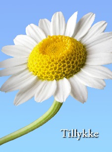 tillykke