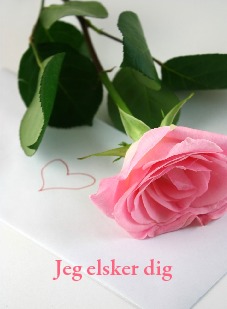Jeg elsker dig
