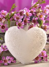 blomster