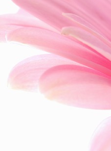 Jeg elsker dig - Bagside