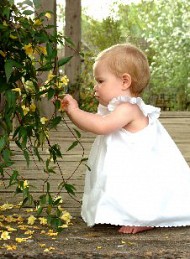 blomster
