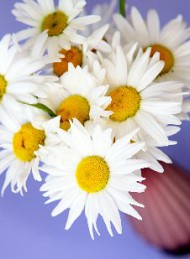 blomster