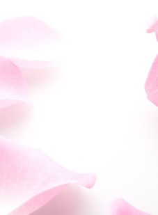 Kondolance - Bagside