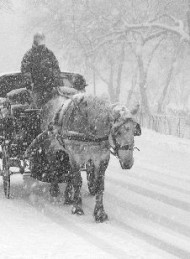 Vinter