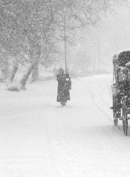 Vinter - Bagside