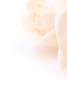 Kondolance - Bagside