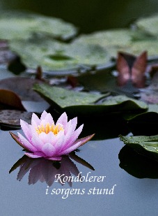 Kondolance