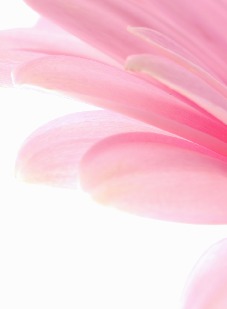 Kondolance - Bagside