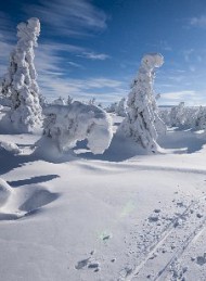 Vinter - Bagside