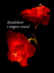 Kondolance