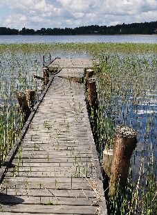 Svensk