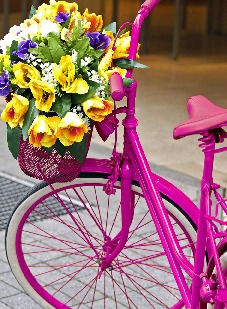 Pink_Damecykel