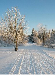 Vinter
