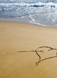 kærlighed - Bagside