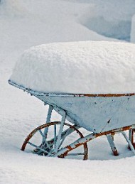 Vinter