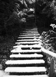 Vinter