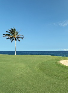 Golf - Bagside