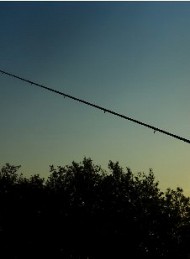 Fiskeri - Bagside