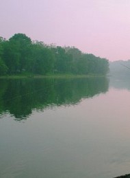Fiskeri - Bagside
