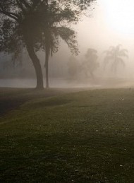 Golf - Bagside