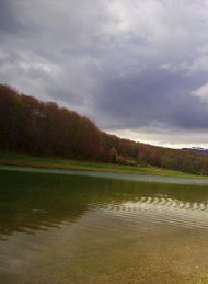 Fiskeri - Bagside
