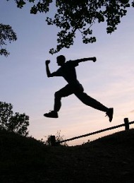 Sport