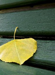natur
