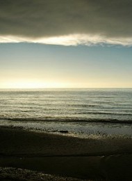 Fiskeri - Bagside