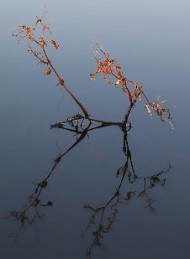 natur