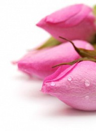 blomster - Bagside