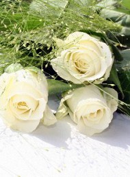 blomster