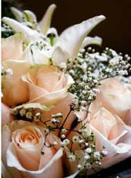 blomster