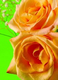 blomster