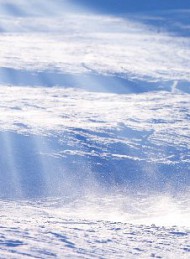 vinter - Bagside