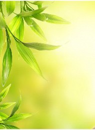 Wellness - Bagside