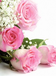 blomster