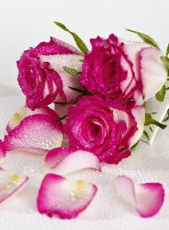 blomster