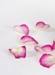 blomster - Bagside