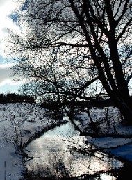 vinter