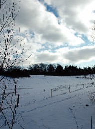vinter - Bagside
