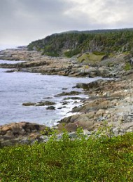 Børn - Bagside