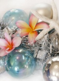 Jul - Bagside