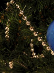 Jul - Bagside