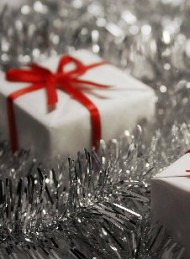 Jul - Bagside