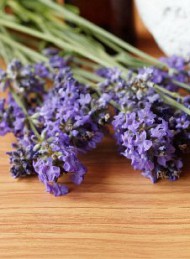 Wellness - Bagside